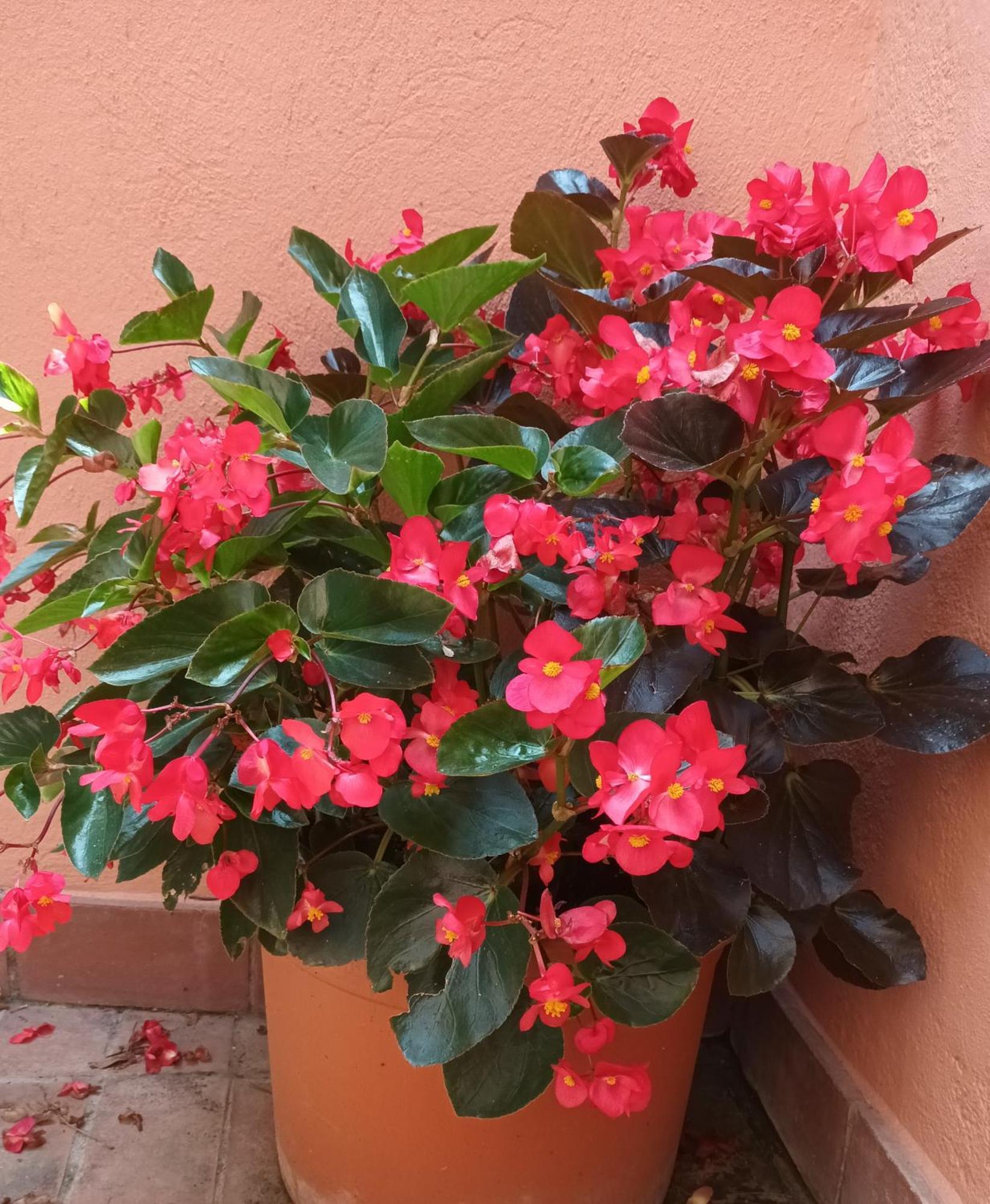 B&B Mar Y Montana Privado No Cocina Orrius Exterior photo